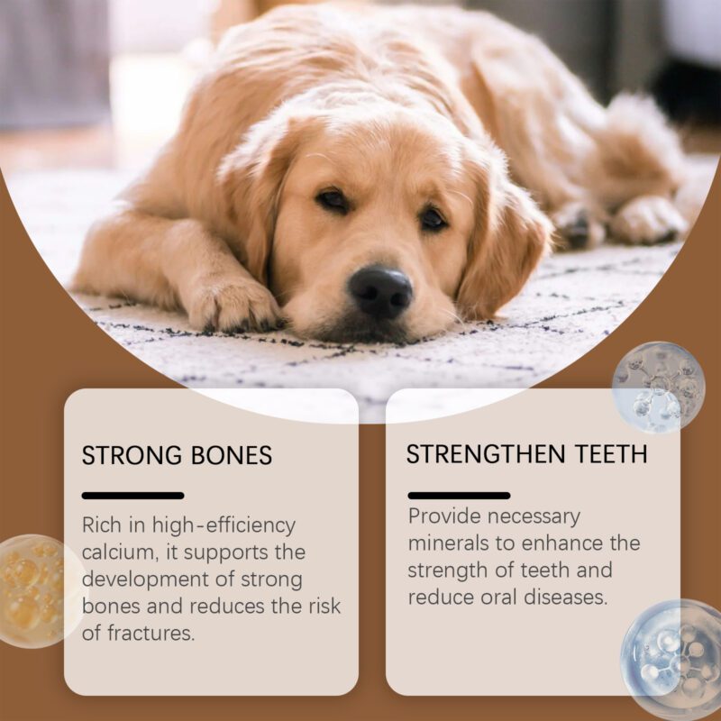 Dog Milk Calcium Tablets - Premium Vitamin Supplements for Pets with Oral Care & Healthy Nutrition Diet - Image 3