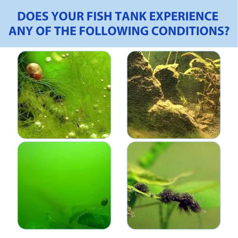 Fish Tank Instant Algae Removal Powder - Efficient Moss & Algae Cleaner, Aquarium Water Purifier for Crystal Clear Water Quality - Image 3