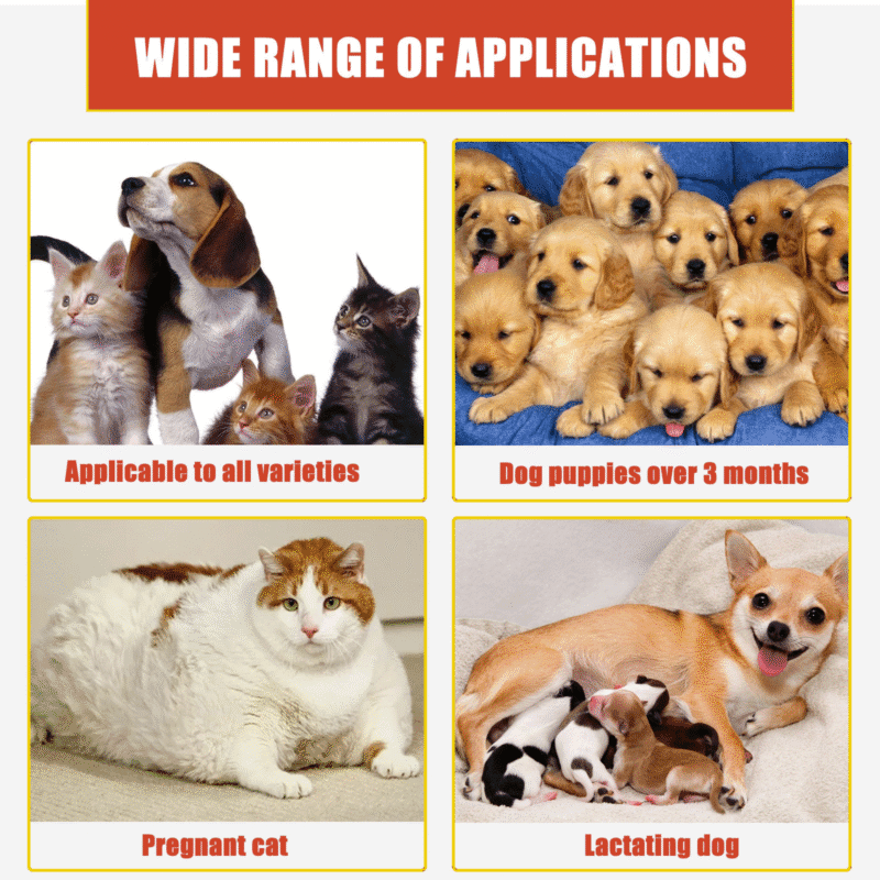 Yegbong Fast-Acting Pet Hemostatic Powder for Cats & Dogs - Styptic Wound Cleaning Powder for Soothing & Accelerated Healing - Image 3