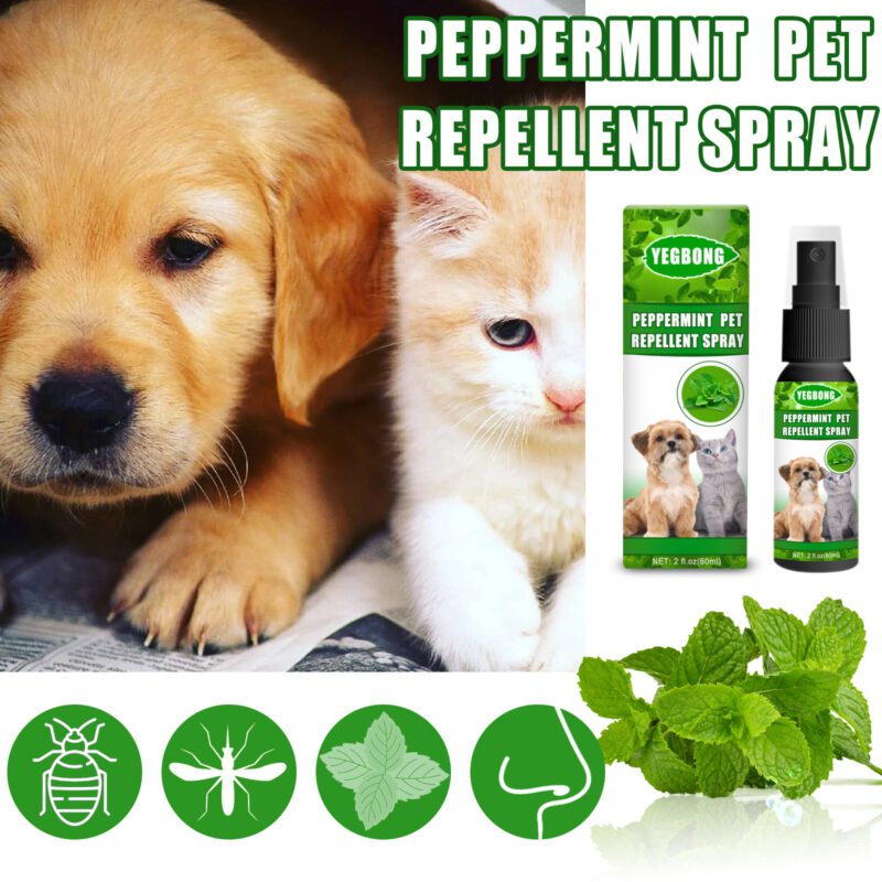 Natural Peppermint Pet Repellent Spray - Effective Mite & Fungus Control Spray for Cats & Dogs - Image 2