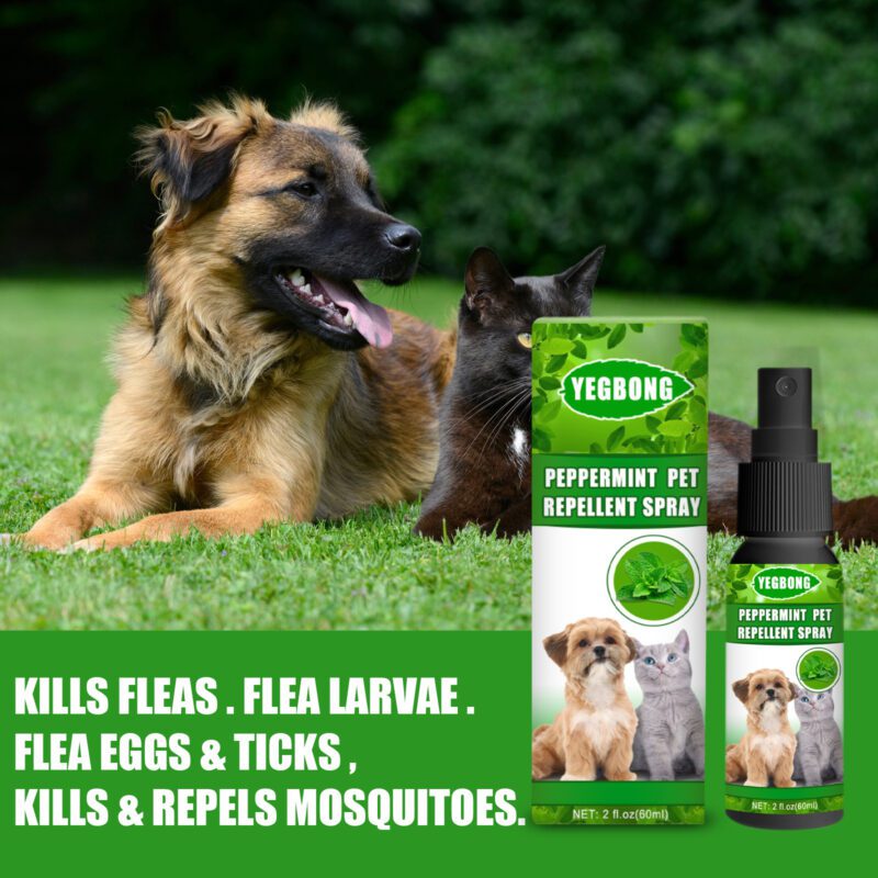 Natural Peppermint Pet Repellent Spray - Effective Mite & Fungus Control Spray for Cats & Dogs - Image 3