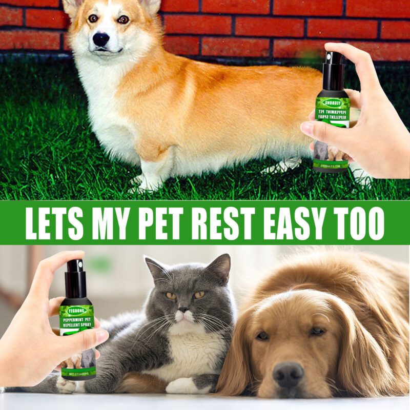 Natural Peppermint Pet Repellent Spray - Effective Mite & Fungus Control Spray for Cats & Dogs - Image 4