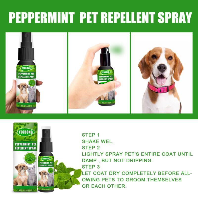 Natural Peppermint Pet Repellent Spray - Effective Mite & Fungus Control Spray for Cats & Dogs - Image 6