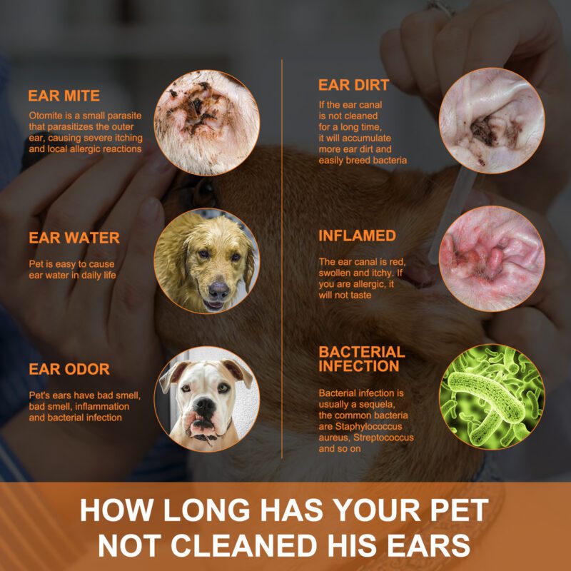 Yegbong Pet Ear Cleaning Drops for Cats & Dogs - Anti-Itch Ear Mite Treatment, Purify Ear Canal & Deodorize - Image 3