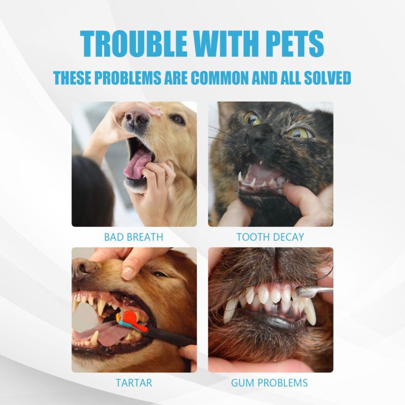 Edible Pet Toothpaste for Dogs & Cats - Fresh Breath, Tartar Control & Bad Breath Relief Oral Care - Image 4