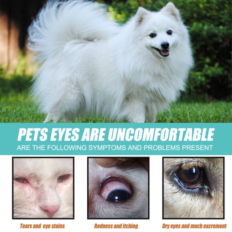 Yegbong Tear Duct & Tear Stain Serum for Dogs & Cats - Effective Topical Eye Care to Remove Eye Discharge & Tear Stains - Image 3