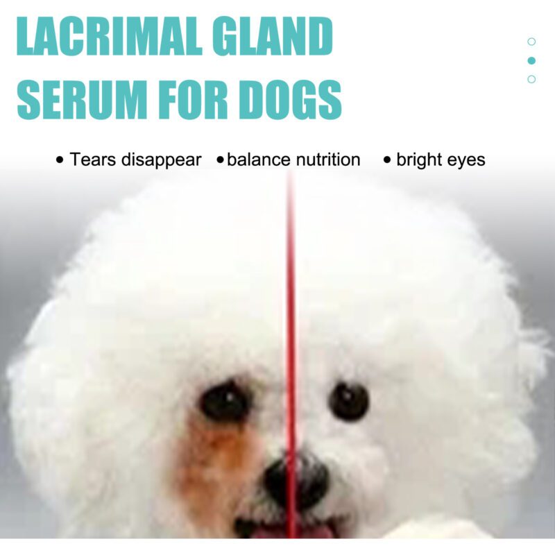 Yegbong Tear Duct & Tear Stain Serum for Dogs & Cats - Effective Topical Eye Care to Remove Eye Discharge & Tear Stains - Image 4