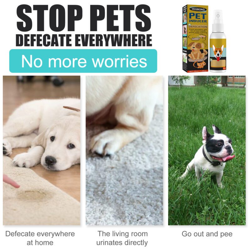 Yegbong Pet Potty Training Spray - Defecation Inducer for Cats & Dogs, Effective Poop Location Trainer - Image 4