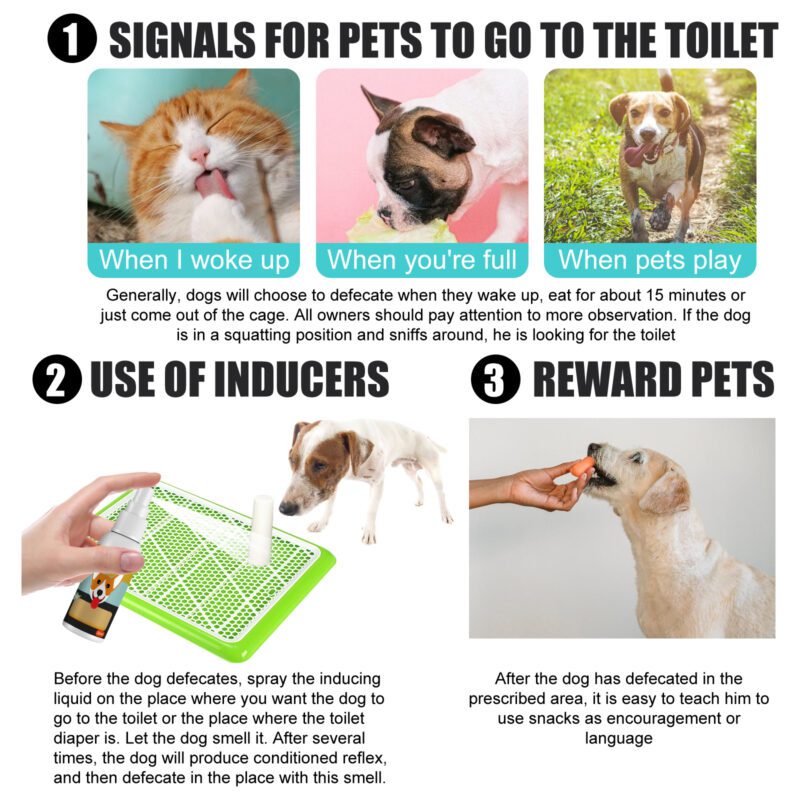 Yegbong Pet Potty Training Spray - Defecation Inducer for Cats & Dogs, Effective Poop Location Trainer - Image 5