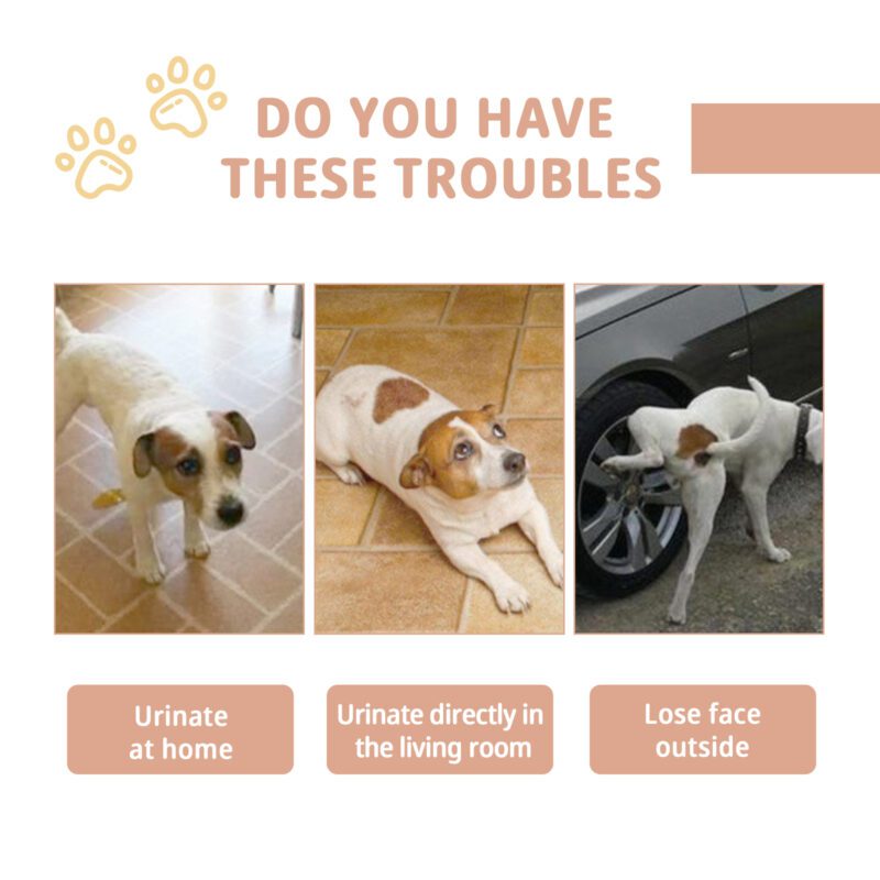 Jaysuing Effective Pet Potty Training Spray - Quick-Acting Toilet Inducer for Puppies & Cats - Image 3
