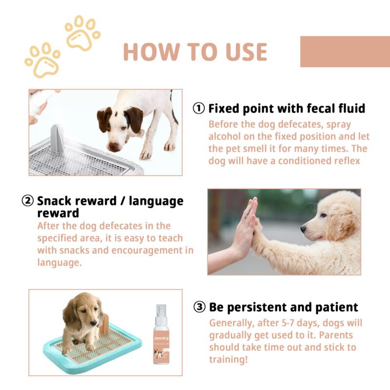 Jaysuing Effective Pet Potty Training Spray - Quick-Acting Toilet Inducer for Puppies & Cats - Image 5