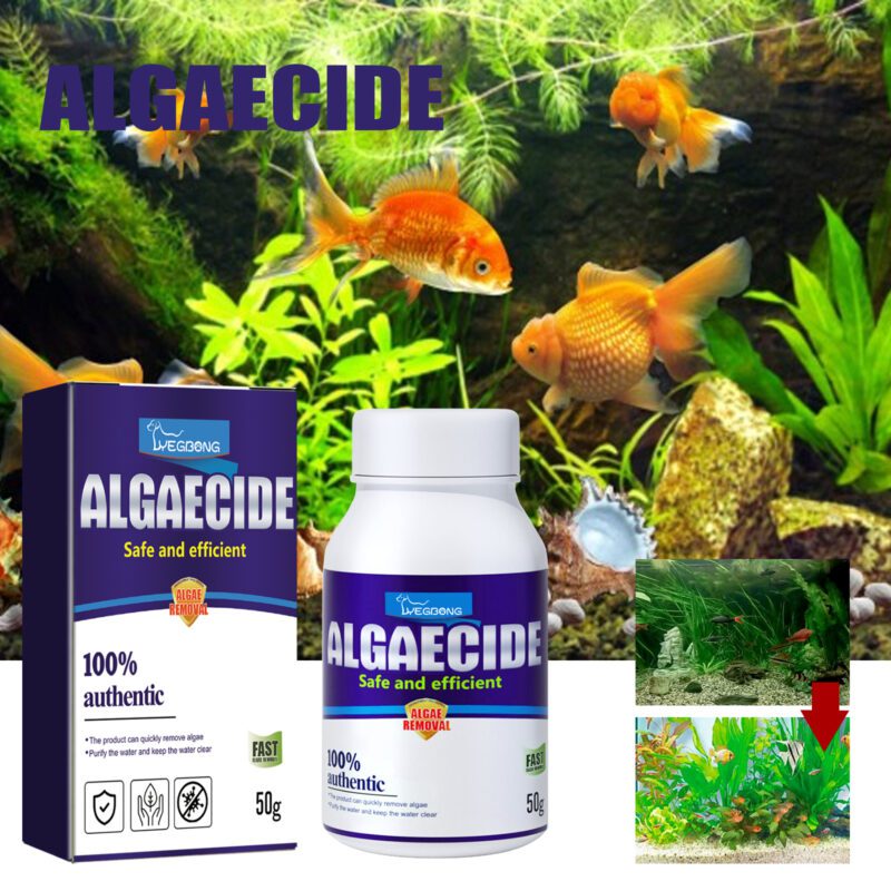 Yegbong Powerful Aquarium Algae & Moss Remover - Effective Green Algae Cleaner for Fish Tanks - Image 2
