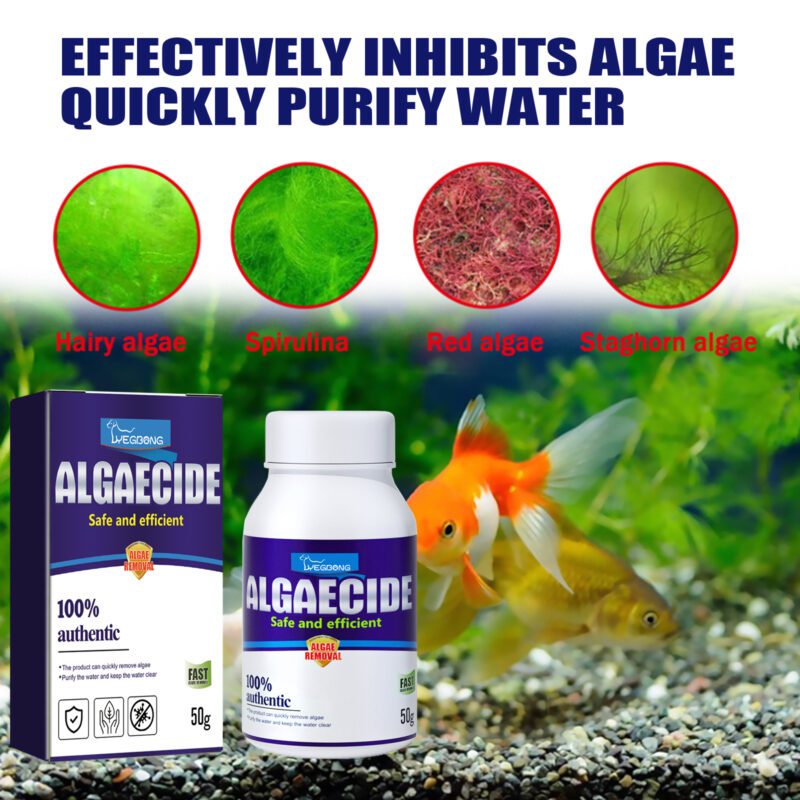 Yegbong Powerful Aquarium Algae & Moss Remover - Effective Green Algae Cleaner for Fish Tanks - Image 4