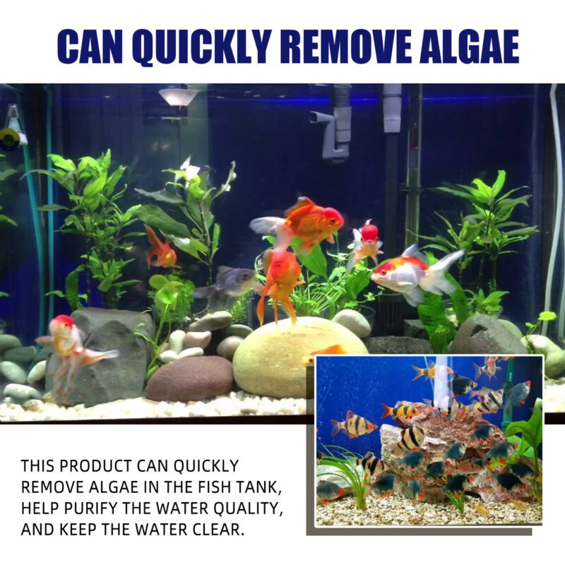 Yegbong Powerful Aquarium Algae & Moss Remover - Effective Green Algae Cleaner for Fish Tanks - Image 6